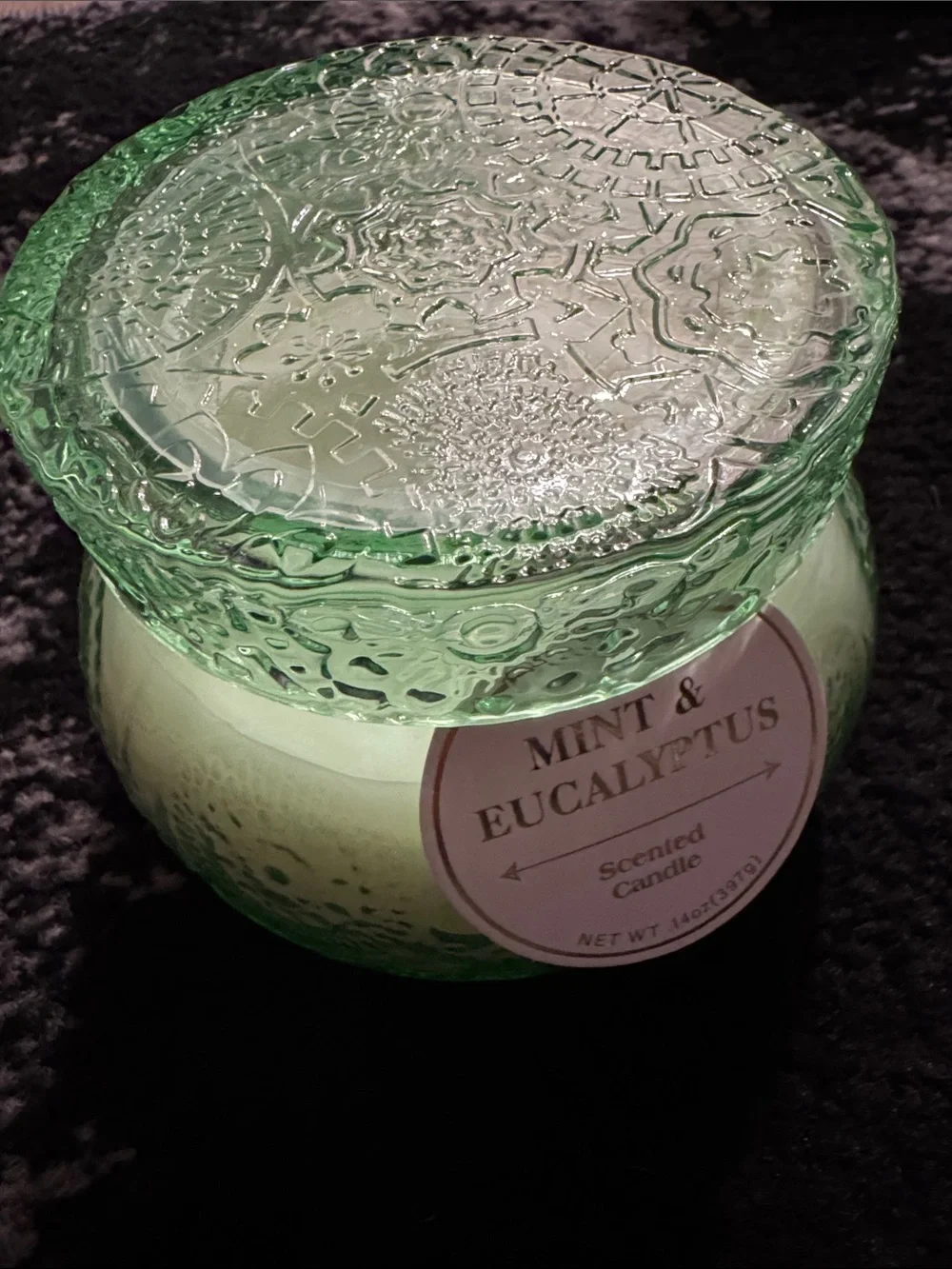 Mint & Eucalyptus Luxury 2-Wick Candle NEW 🏷️